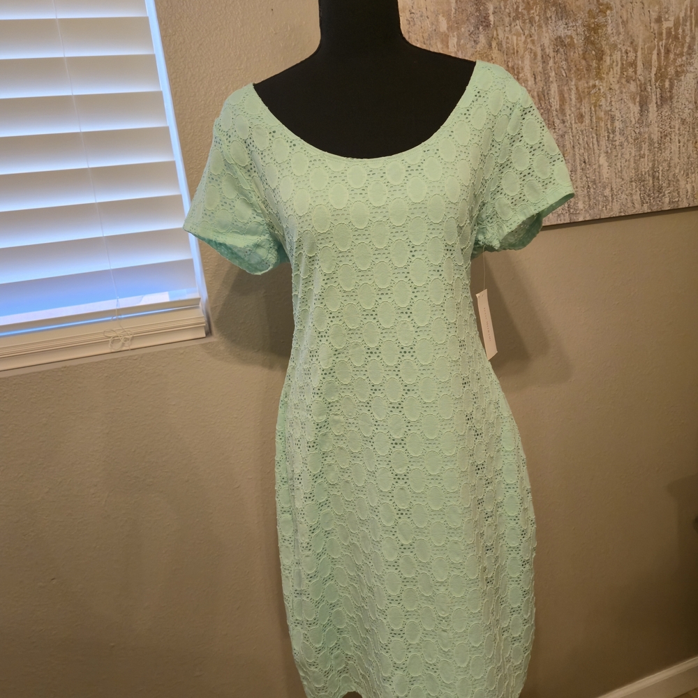 💐Cute Spring Dress, Isaac Mizrahi Light Green Lace Dress
